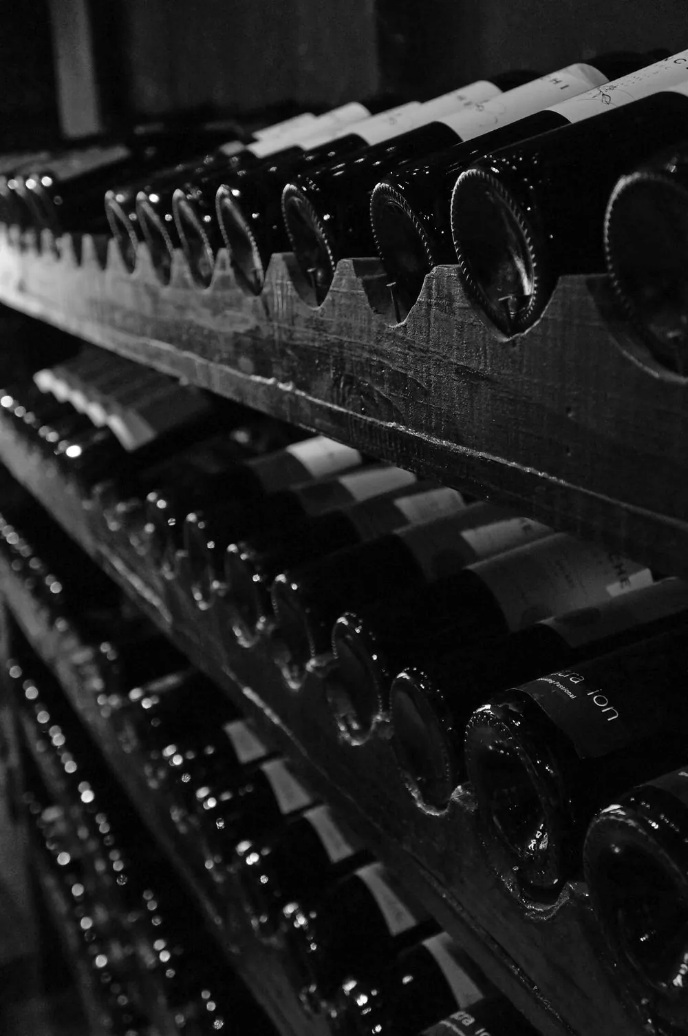 Adega com garrafas de vinho brasileiro